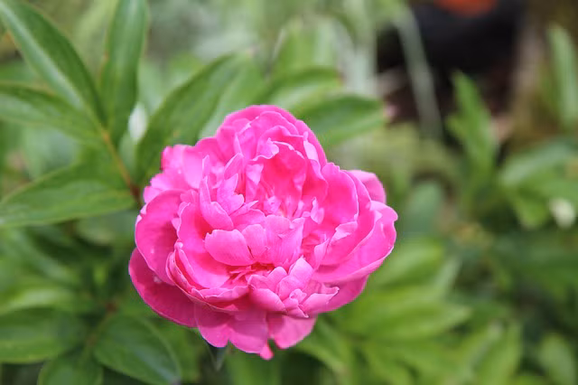 Người sinh vào tháng 18 Âm lịch. Theo bói ngày tháng sinh Âm lịch, người sinh vào ngày 18 Âm lịch rất nhân hậu, chăm chỉ. Họ có khả năng chịu áp lực cao, có thể xử lý cẩn thận từng chi tiết trong công việc hàng ngày.