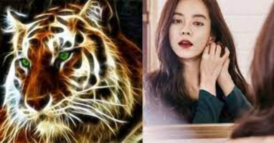 3 tuổi vướng tam tai, làm gì cũng khó năm Quý Mão, 2 tuổi giàu sang - Hình 2 3 tuoi vuong tam tai, lam gi cung kho nam Quy Mao, 2 tuoi giau sang-Hinh-2