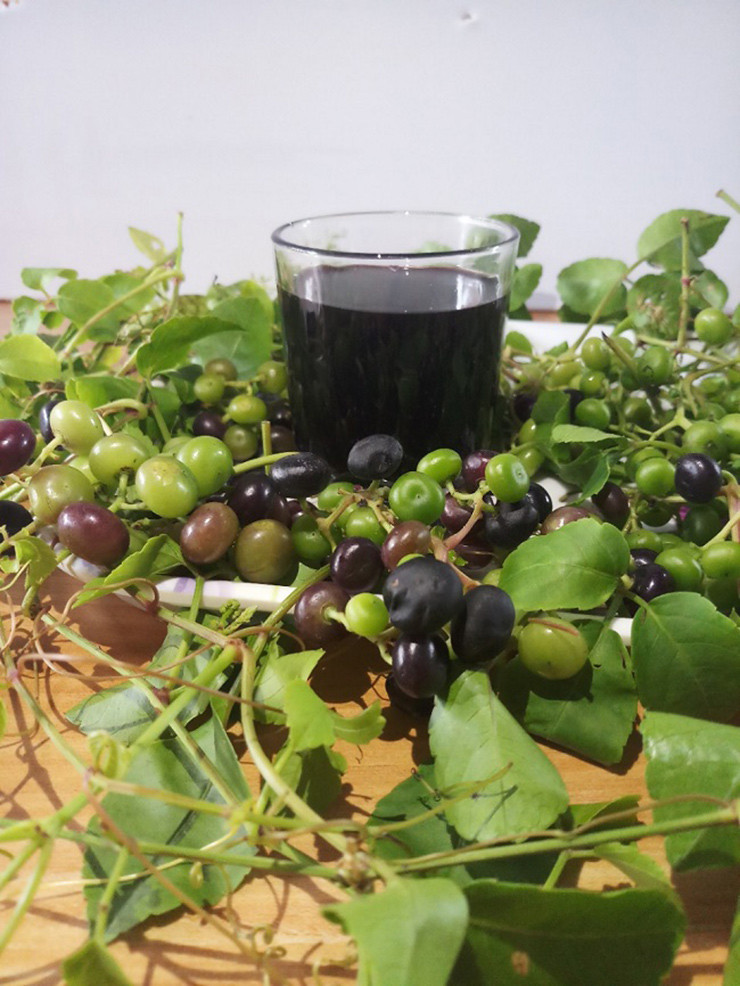 Moc dai o bo rao nay dan hai ban thu 300.000 dong/ngay-Hinh-9