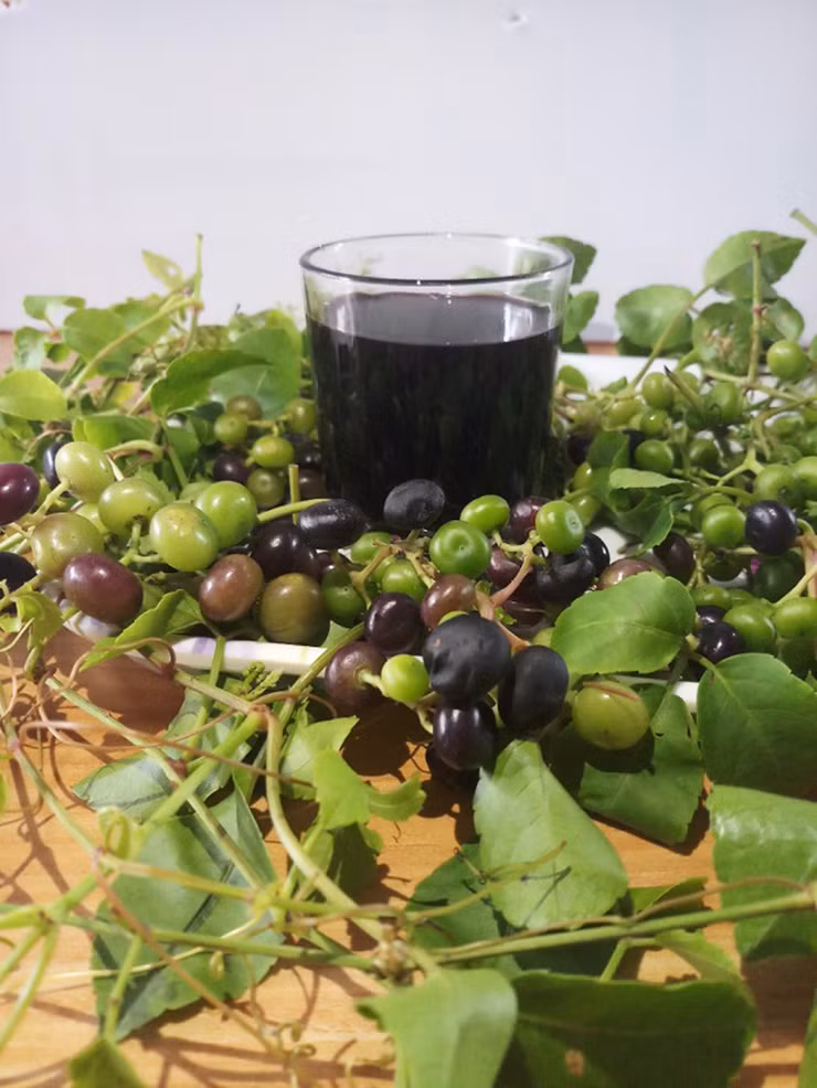 Moc dai o bo rao nay dan hai ban thu 300.000 dong/ngay-Hinh-9