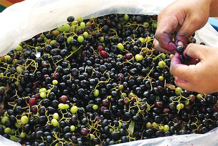 Moc dai o bo rao nay dan hai ban thu 300.000 dong/ngay-Hinh-8