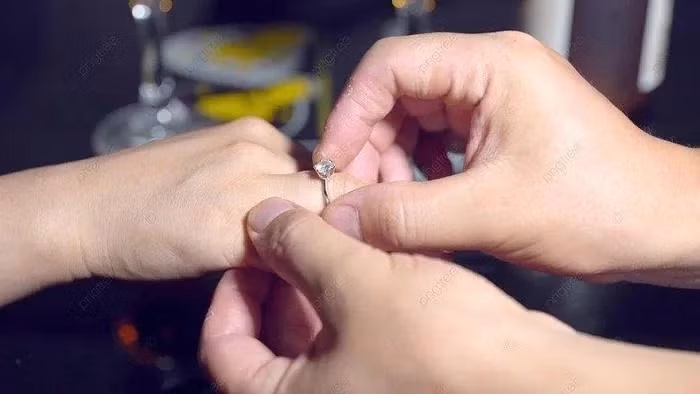 Me chong cho mieng gan lon, toi nem vao sot rac roi hoi han