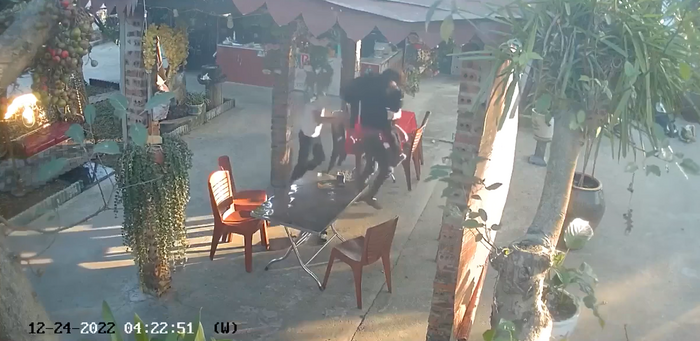 Che vo ban khong de duoc con trai, nguoi dan ong guc tai cho-Hinh-4