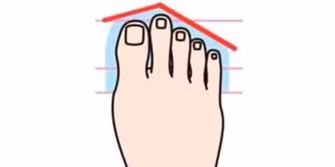 Bạn là người theo chủ nghĩa lý tưởng thực sự, dễ dàng chấp nhận người khác và từ bi với những người không được đối xử tốt. Bạn khó đoán, đôi lúc rất cởi mở và thân thiện khiến người xung quanh cảm thấy thoải mái, nhưng cũng có khi rất giữ khoảng cách, nghi ngờ nhiều người xung quanh. Trong một số trường hợp, bạn còn hay ngại ngùng, nhạy cảm, dễ xúc động nữa.