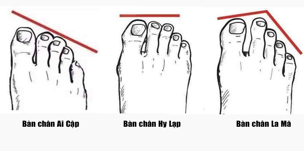 Ngón chân La Mã. Nếu các ngón chân của bạn có sự khác biệt đáng kể về chiều dài, với ba ngón đầu tiên gần như bằng nhau và hai ngón cuối cùng ngắn hơn đáng kể, bạn sở hữu kiểu ngón chân La Mã. Bạn được biết đến là tuýp người có sở thích mang tính trí tuệ như đọc sách hoặc nói trước đám đông. Tư duy trừu tượng và óc thẩm mỹ của bạn rất nhạy bén, và bạn tìm thấy vẻ đẹp trong mọi thứ mình nhìn thấy.