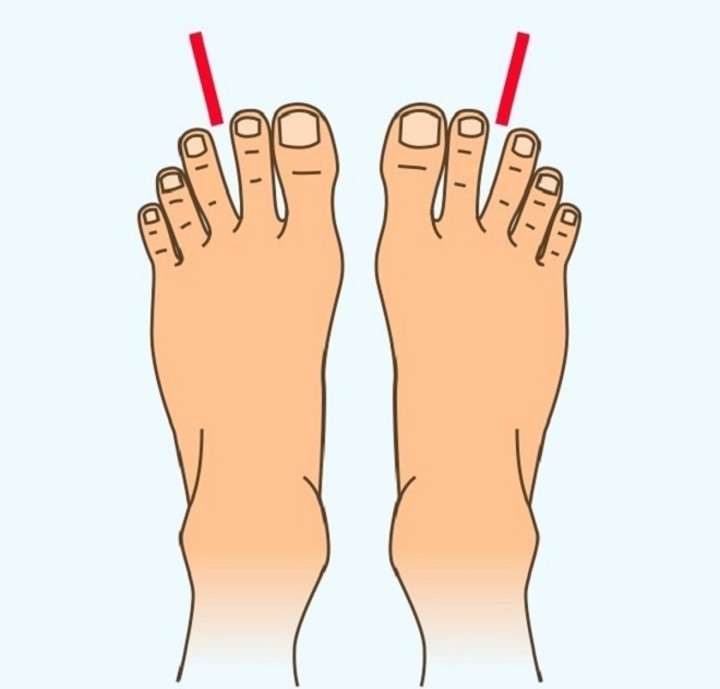 Trong công việc, bạn là người thấu đáo: Bạn muốn xem xét cẩn thận tất cả những ưu, khuyết điểm mỗi khi làm một việc gì đó để rút ra bài học cho bản thân. Bạn là người thực tế, cũng rất đáng tin cậy. 