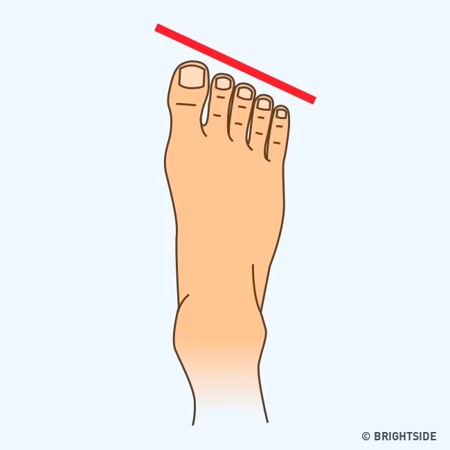 Chúng tiết lộ rằng bạn là người mơ mộng và lãng mạn. Thời niên thiếu, bạn sớm mong muốn được trải nghiệm tình yêu đầu đời, có người ở bên cạnh. Bạn là người thích phiêu lưu và khám phá thế giới, có con mắt thẩm mỹ về thiên nhiên và bất cứ thứ gì liên quan đến thiên nhiên, phong cảnh.