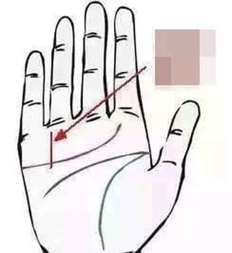 Có đường chỉ tay "phát tài phát lộc" này, cả đời giàu sang Co duong chi tay