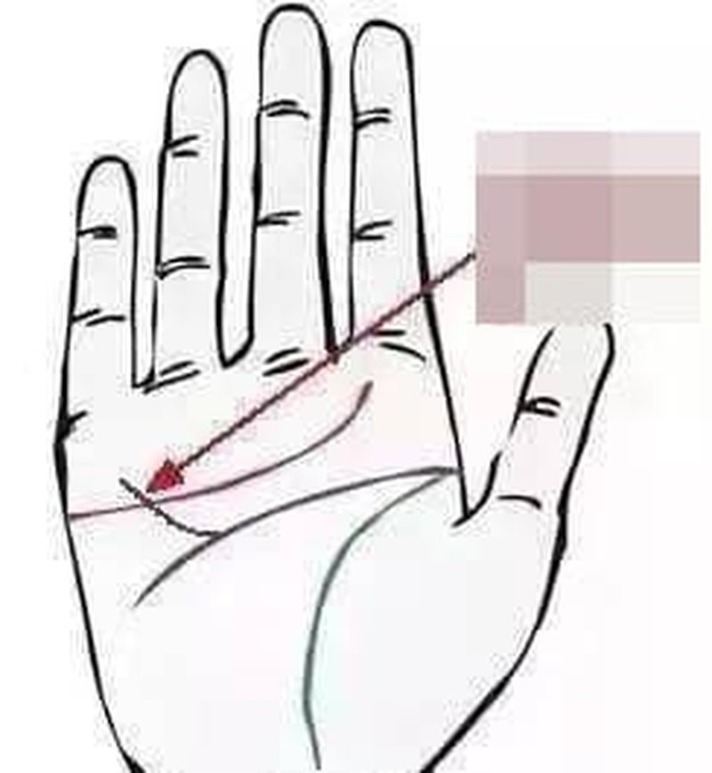 Có đường chỉ tay "phát tài phát lộc" này, cả đời giàu sang - Hình 4 Co duong chi tay
