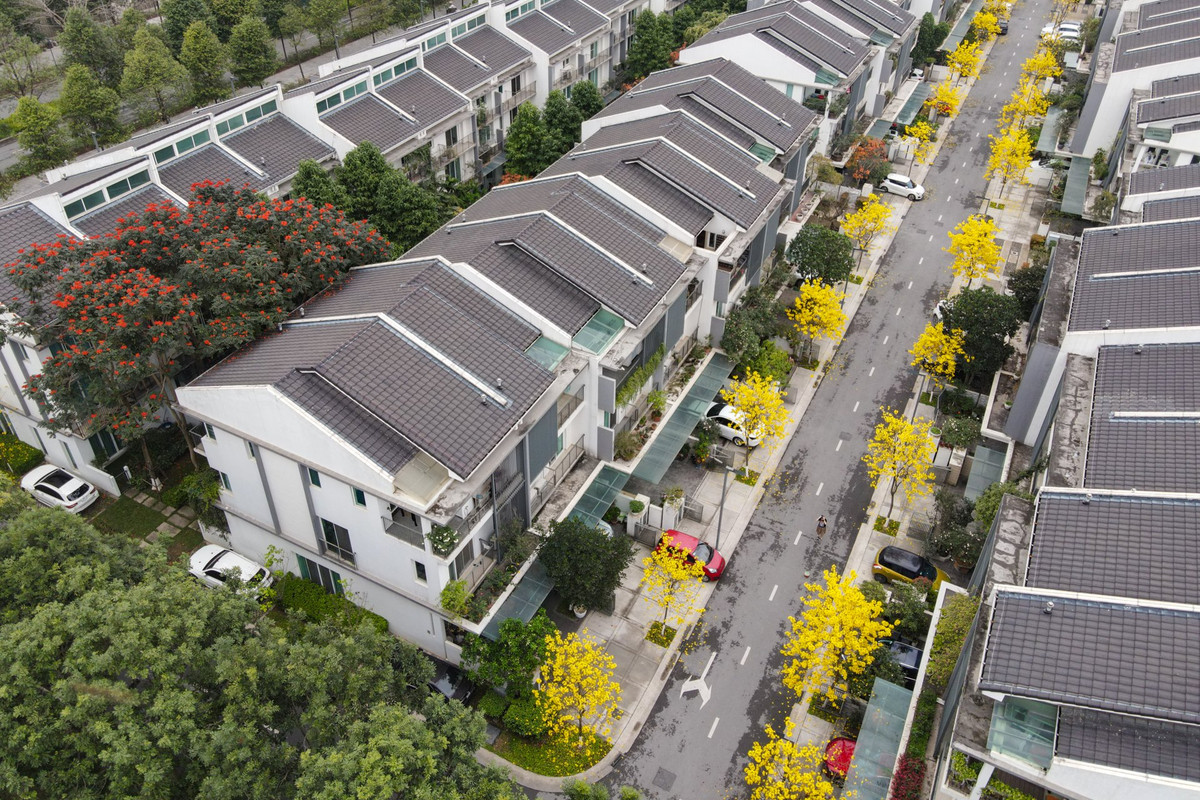 Ngoài trồng tập trung thành hàng lối riêng trên một con đường, hoa gạo và hoa phong linh còn được trồng xen kẽ ở vỉa hè trước cửa các căn biệt thự liền kề trong khu đô thị.