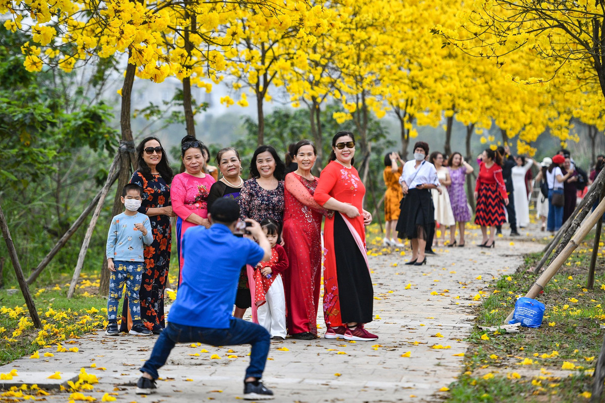 Nhiều người khác đi theo nhóm, diện áo dài để chụp ảnh cùng hàng hoa phong linh đang khoe sắc.
