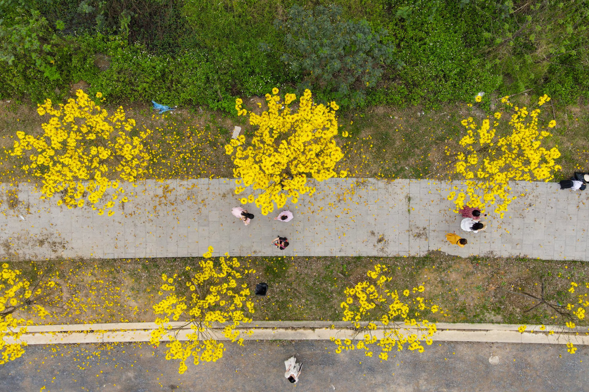 Dòng người lấp ló qua từng chùm hoa khi nhìn từ trên cao.