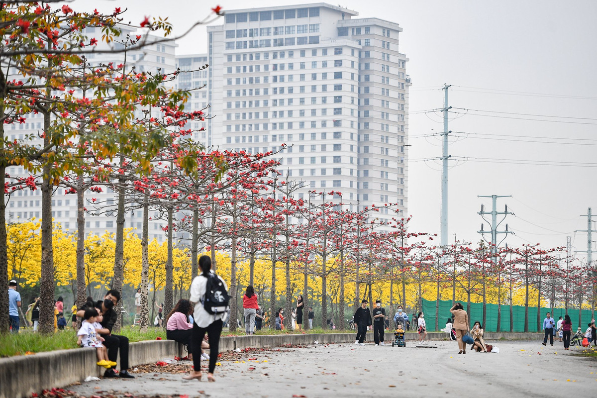 Chiều 16/3, rất đông bạn trẻ có mặt tại con đường này để ngắm hoa, chụp ảnh.