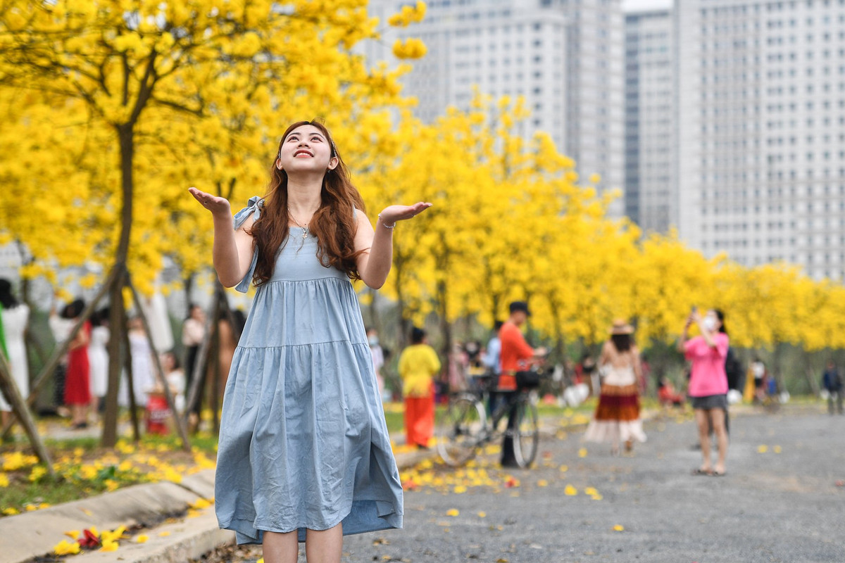 "Nhờ bạn chỉ tới đây, tôi mới biết con đường hoa này. Từng chụp ở nhiều nơi với những loài hoa khác nhau nhưng thật sự tôi rất choáng ngợp bởi vẻ đẹp của những bông hoa này. Chính sắc vàng của hoa phong linh điểm ít sắc đỏ của hoa gạo đã làm con đường trở nên nổi bật và thu hút nhiều người tới chụp ảnh", Đào Thị Lệ (quận Cầu Giấy) chia sẻ.