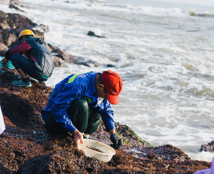 Họ dùng những miếng nhôm, nắp chai bia hoặc muỗng để cạo rong mứt trên những gành đá trơn trượt.