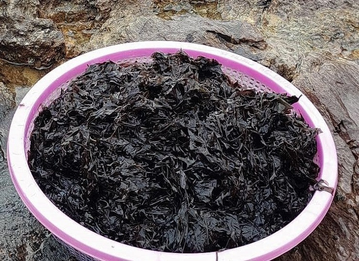 Rong mứt hay còn gọi là rong mứt biển, rong biển đen, có tên khoa học là Porphyra, thuộc ngành tảo đỏ Rhodophyta.