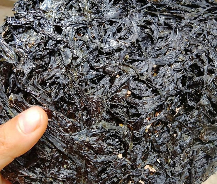 Rong mứt ở Tam Hải, huyện Núi Thành (Quảng Nam) được cho là có giá nhất, từ 3-4,5 triệu đồng/kg.