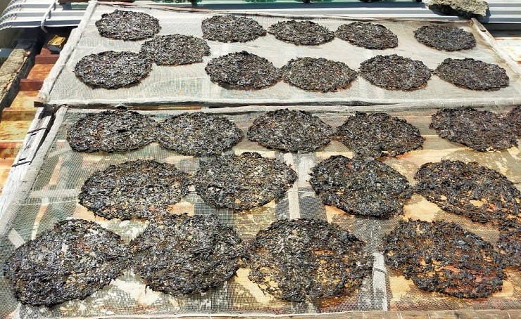 Thông thường, để có 1kg rong mứt khô phải phơi từ 6-7kg rong tươi.