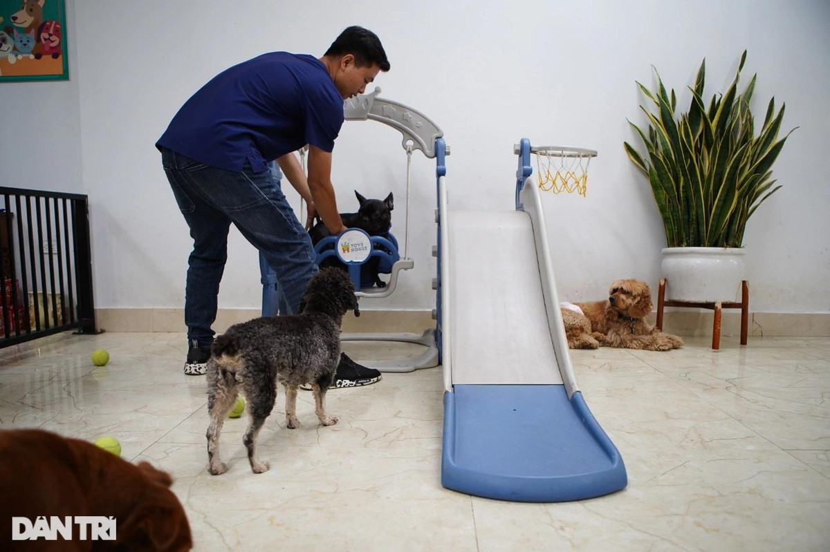 Lạ lùng dịch vụ gửi thú cưng đi... "nhà trẻ" sang chảnh ở Hà Nội ảnh 9