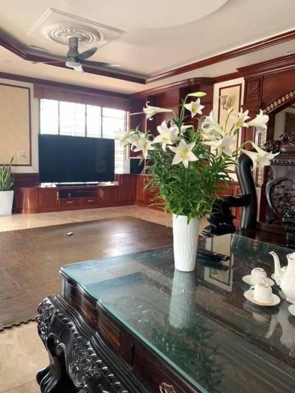 Mẹ đảm Hà Nội trồng 20 cây hoa hồng cổ quanh biệt thự - Hình 11 Me dam Ha Noi trong 20 cay hoa hong co quanh biet thu-Hinh-11