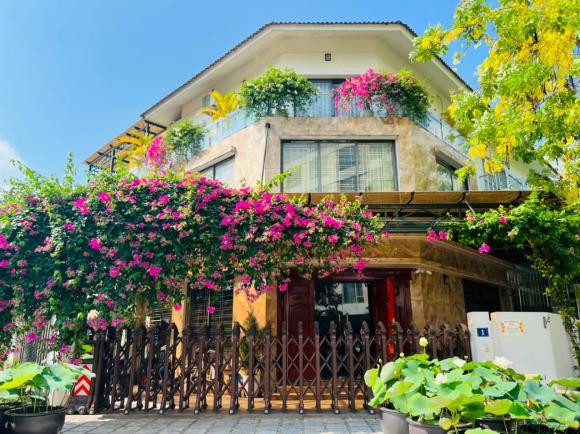 Mẹ đảm Hà Nội trồng 20 cây hoa hồng cổ quanh biệt thự Me dam Ha Noi trong 20 cay hoa hong co quanh biet thu