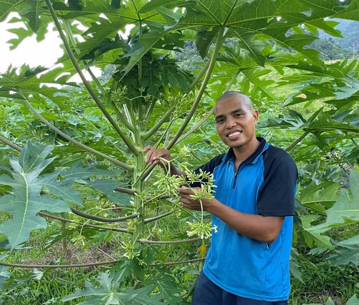 Loai cay bi chat bo, 8x Hoa Binh thu hang chuc trieu dong/thang-Hinh-5