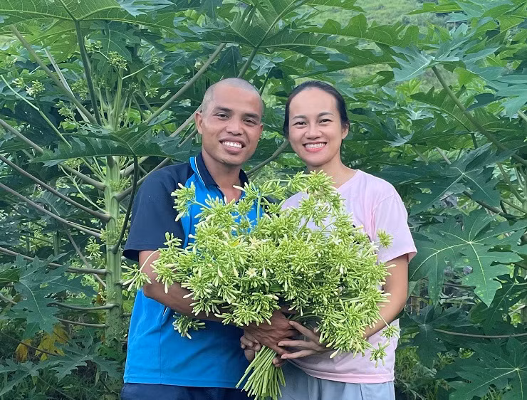 Loai cay bi chat bo, 8x Hoa Binh thu hang chuc trieu dong/thang-Hinh-7