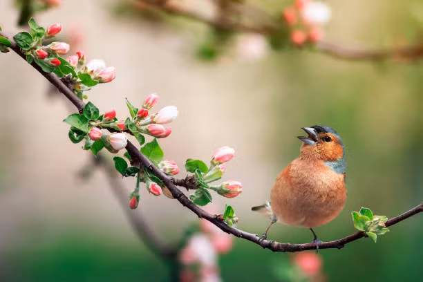 Người sinh ngày Âm lịch này ra ngõ gặp niềm vui, về nhà đón hạnh phúc - Hình 3 Nguoi sinh ngay Am lich nay ra ngo gap niem vui, ve nha don hanh phuc-Hinh-3