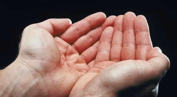 4 dau hieu trong long ban tay du bao so menh phu quy