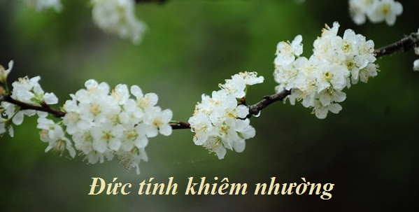 Thông qua cách nói chuyện và làm việc của một người, đều có thể thấy được phúc phận của người đó. Nói chuyện hòa nhã, làm việc thường giúp đỡ người khác, suy nghĩ cho người khác, vận khí của bản thân cũng tự nhiên được hanh thông.