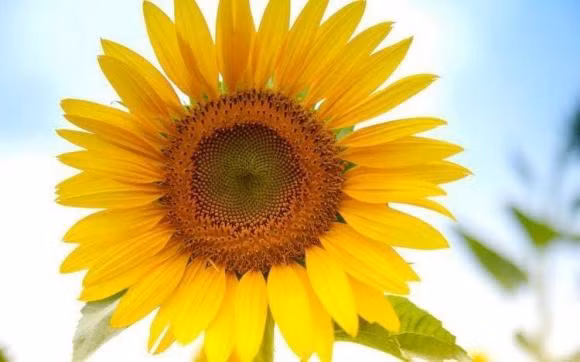 Nhung nguoi sinh ngay nay, chao doi da co 