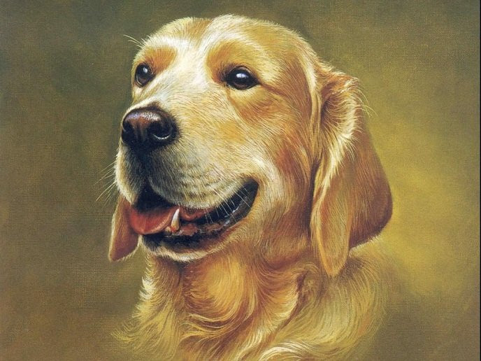 Có cát thần Tam Hợp trợ mệnh nên tuổi Tuất sẽ sớm hoàn thành được các mục tiêu về doanh thu, dự án mới. Cũng từ đây, con giáp may mắn dần hoàn thiện bản thân, vươn mình nhận lộc trời ban. (*)Thông tin trong bài chỉ mang tính chất tham khảo, chiêm nghiệm.