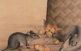 Hoạnh tài cũng tới, con giáp này nếu biết nắm bắt những thời cơ kiếm tiền trước mắt thì quả thực chẳng cần phải lo lắng không có tiền tiêu, cứ hết tiền lại có ngay chỗ để kiếm tiền, vận may nhiều không kể xiết. 