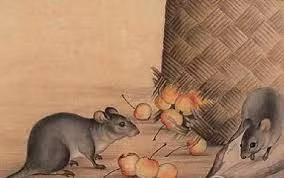 Hoạnh tài cũng tới, con giáp này nếu biết nắm bắt những thời cơ kiếm tiền trước mắt thì quả thực chẳng cần phải lo lắng không có tiền tiêu, cứ hết tiền lại có ngay chỗ để kiếm tiền, vận may nhiều không kể xiết. 