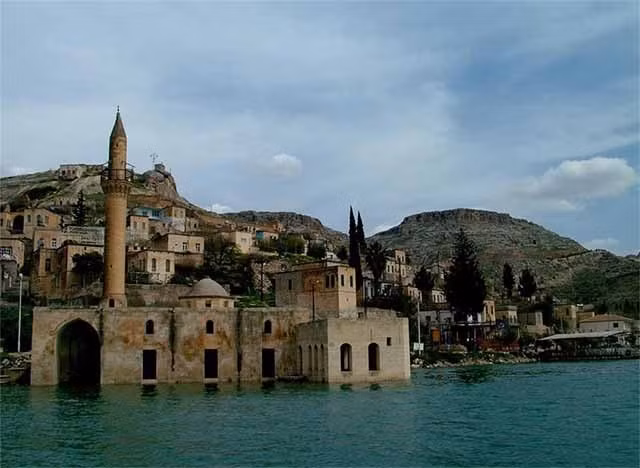 Nơi duy nhất trên thế giới trồng được loại hoa hồng đen ảnh 1