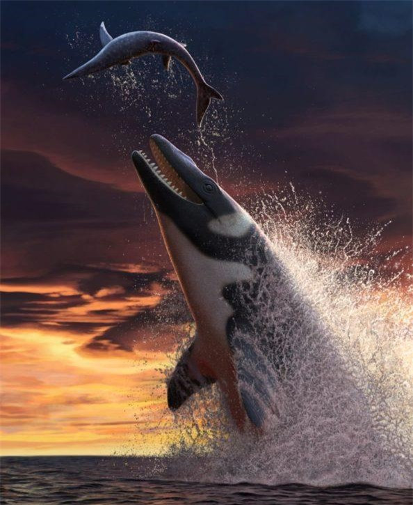 Thủy quái lớn gấp đôi cá sấu, “lai” cá voi, rồng, rắn, T-rex ảnh 1 Thủy quái lớn gấp đôi cá sấu, “lai” cá voi, rồng, rắn, T-rex ảnh 1