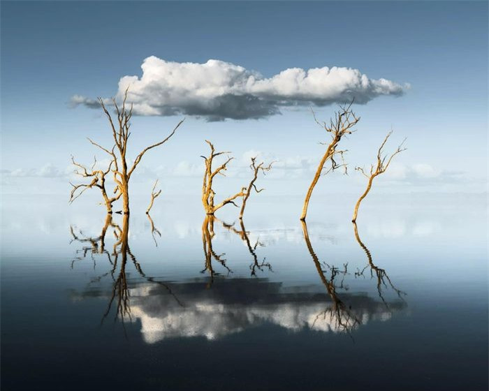 Ảnh chụp hồ Bonney Riverland ở Nam Australia đem lại cho nhiếp ảnh gia Ben Goode vị trí thứ 3 trong hạng mục ảnh đơn.