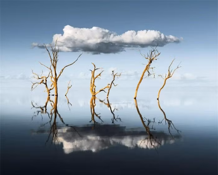 Ảnh chụp hồ Bonney Riverland ở Nam Australia đem lại cho nhiếp ảnh gia Ben Goode vị trí thứ 3 trong hạng mục ảnh đơn.