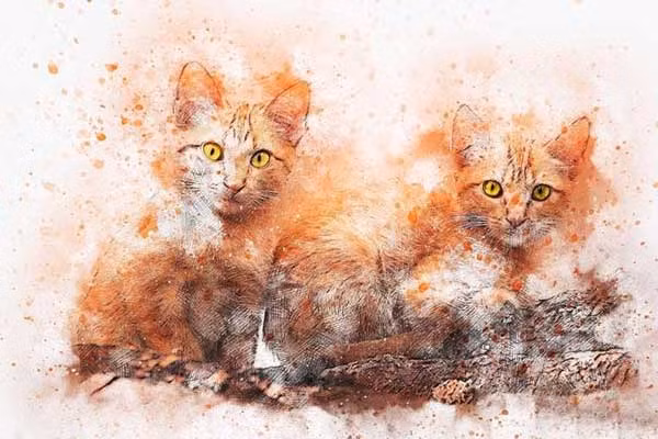 4 tuoi xau nhat 2023: 2 tuoi vua pham Tam Tai vua xung Thai Tue-Hinh-4