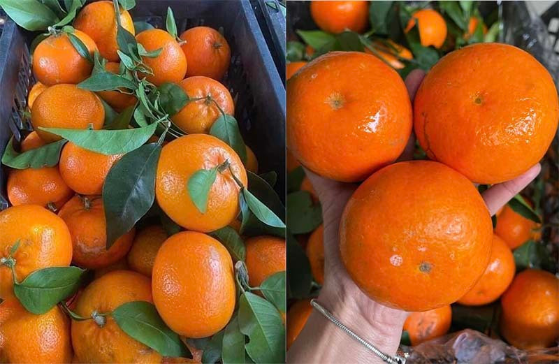 Nha nao cung co an, gia cam, quyt tang gap 2-4 lan