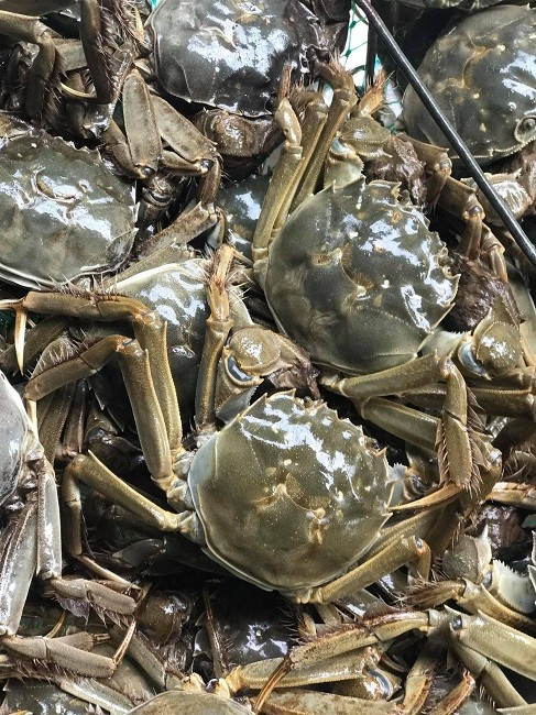 Loại cua chỉ có ở Bắc Giang, xưa giá siêu rẻ nay nửa triệu đồng/kg Loai cua chi co o Bac Giang, xua gia sieu re nay nua trieu dong/kg