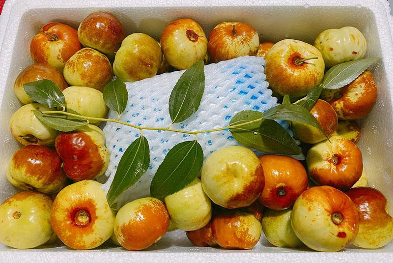 Hồng táo Trung Quốc đổ chợ, 550 nghìn/kg vẫn siêu đắt khách - Hình 2 Hong tao Trung Quoc do cho, 550 nghin/kg van sieu dat khach-Hinh-2