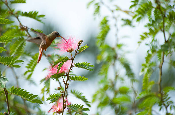 Ai sinh tháng Âm lịch này có sao tốt chiếu mệnh, biến nguy thành an - Hình 2 Ai sinh thang Am lich nay co sao tot chieu menh, bien nguy thanh an-Hinh-2