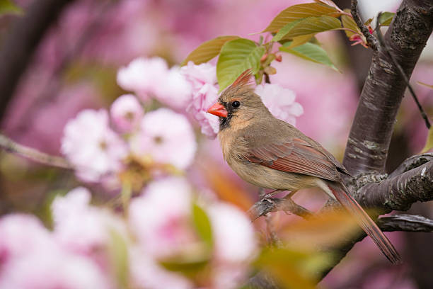 Ai sinh tháng Âm lịch này có sao tốt chiếu mệnh, biến nguy thành an Ai sinh thang Am lich nay co sao tot chieu menh, bien nguy thanh an