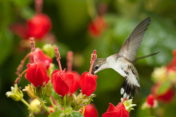 Ai sinh tháng Âm lịch này có sao tốt chiếu mệnh, biến nguy thành an - Hình 3 Ai sinh thang Am lich nay co sao tot chieu menh, bien nguy thanh an-Hinh-3