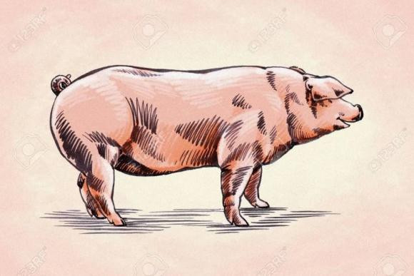 Tuổi Hợi. Hợi bản tính chăm chỉ, luôn chủ động tìm kiếm cơ hội. Người sinh tuổi này rất ưa nhìn, học hành xuất sắc, có năng lực làm việc mạnh mẽ.