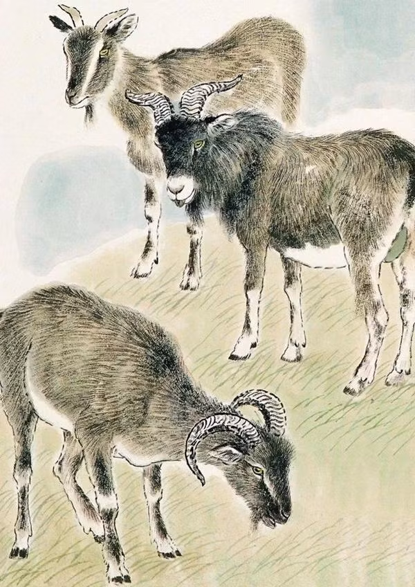 Dem nguoc den Giao thua 2023: 3 con giap may man thang hoa-Hinh-2