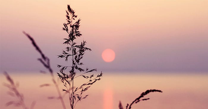 Đời người có 2 điều không nên nhìn, 3 điều không nên quản - Hình 2 Doi nguoi co 2 dieu khong nen nhin, 3 dieu khong nen quan-Hinh-2