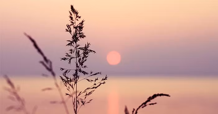 Doi nguoi co 2 dieu khong nen nhin, 3 dieu khong nen quan-Hinh-2