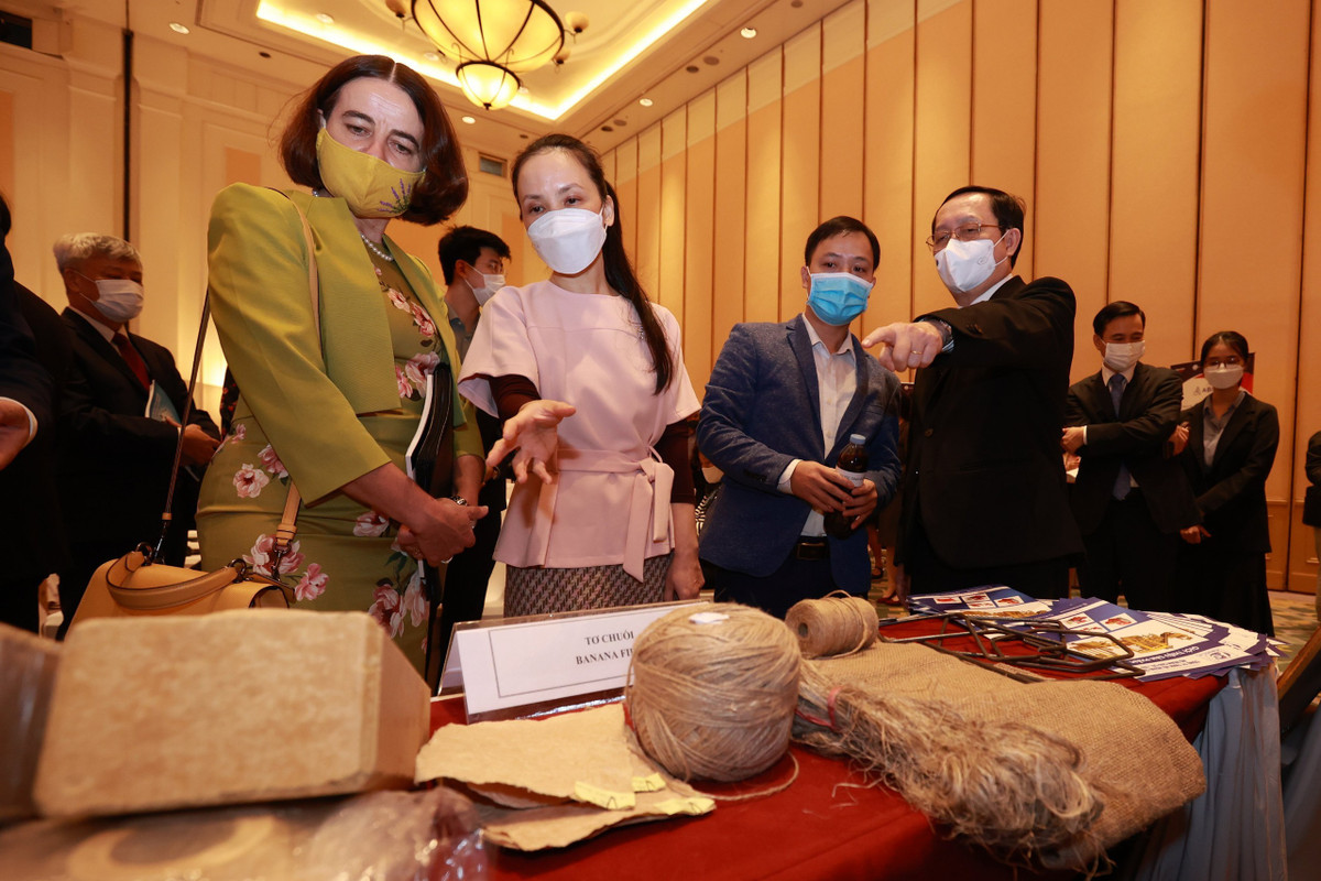 8X nghi cach kiem bon tien tu than cay chuoi-Hinh-5